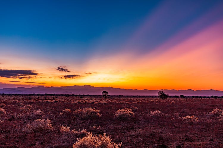 Intense Colour Sky At Sunrise And Mist On A Field