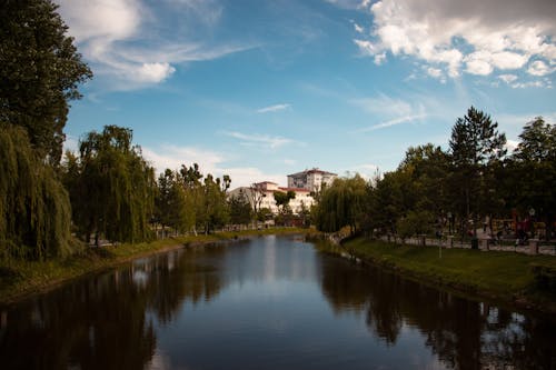 A Lake Between Green Trees Under Blue Sky