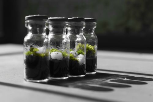Free stock photo of beautiful, beginning, black Stock Photo
