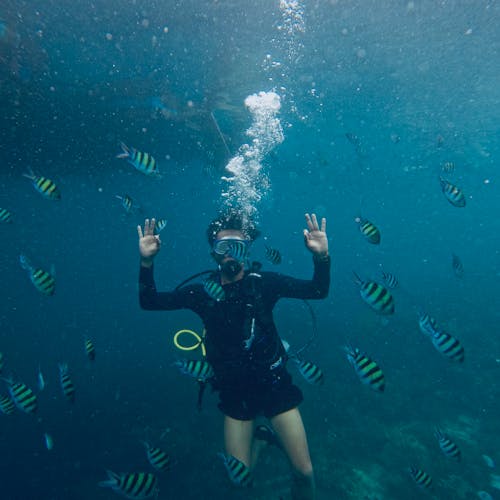 Δωρεάν στοκ φωτογραφιών με scuba, snorkeling, άνδρας