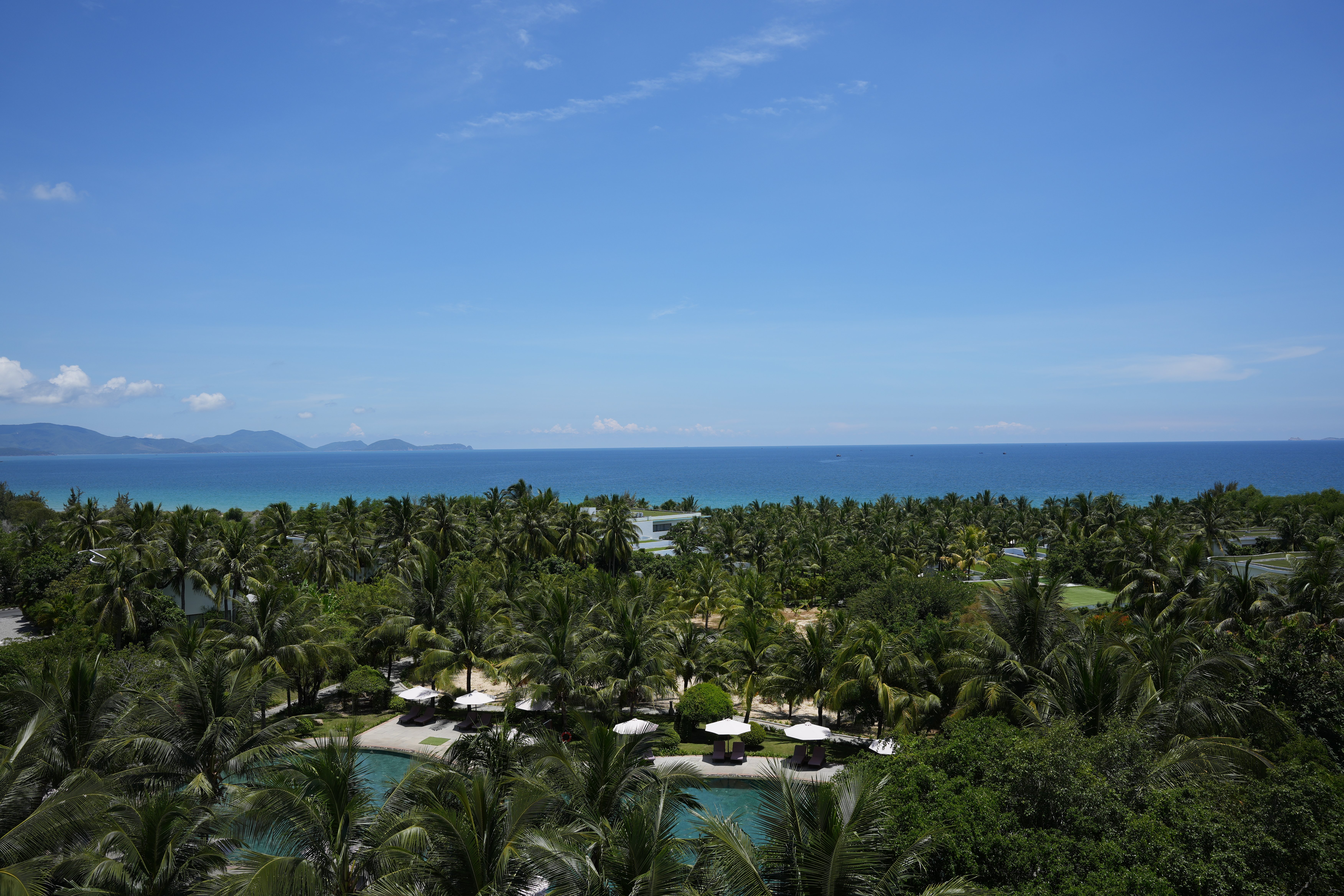 Tranquil Vietnamese beach panorama with palm trees and azure waters