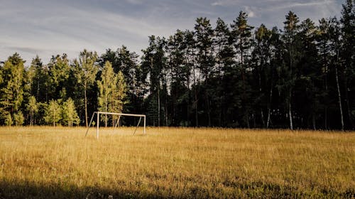 A Soccer Goal on a Field