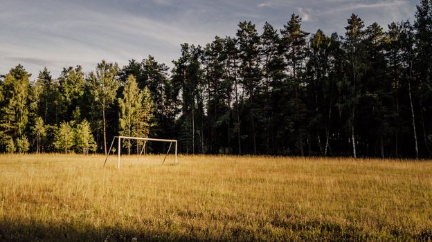 Abandoned soccer goal in a serene field surrounded by lush forest trees. Tranquil outdoor setting.