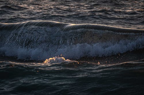 Gratis lagerfoto af bølger, hav, natur