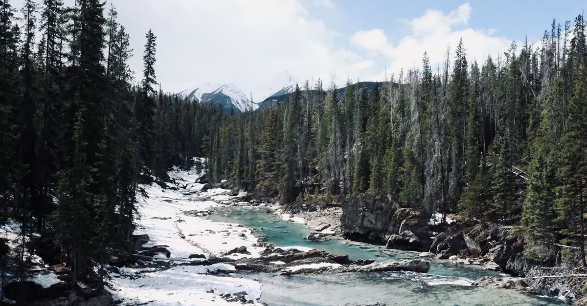 Bashaw Meadows — exterior or featured photo