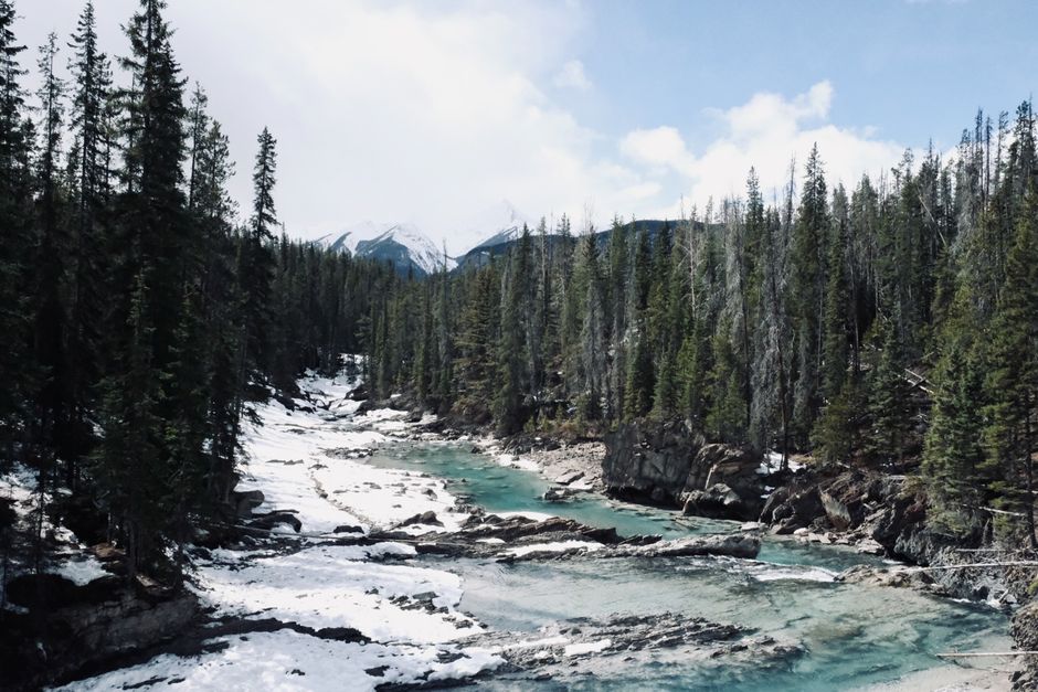 Alberta Separation Bid Hits Legal Wall Despite Petition Push