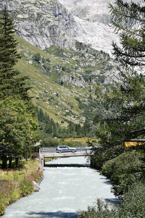 Kostenloses Stock Foto zu auto, bäume, berge