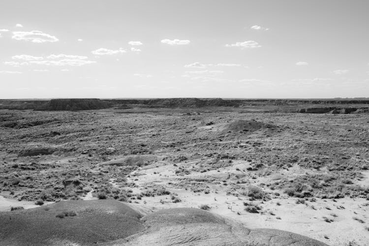 Dry Soil On Wasteland