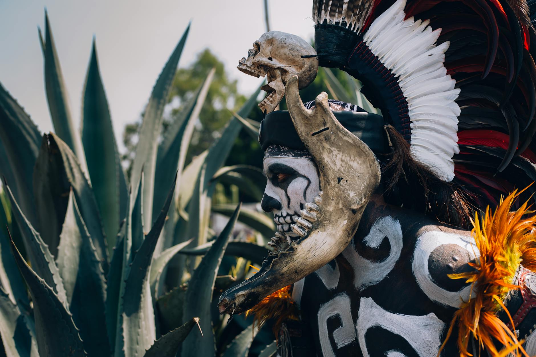 Bad Bunny celebrates Latin American representation in response to Super Bowl backlash