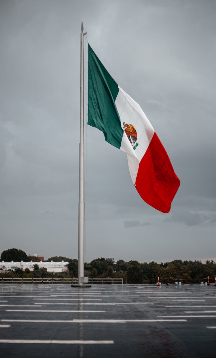 Flag Of Mexico Under Gray Sky