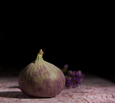 Moody still life of a single fresh fig against a dark background, highlighting texture.