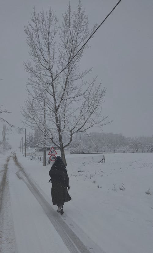 бесплатная Бесплатное стоковое фото с вертикальный выстрел, зима, метель Стоковое фото