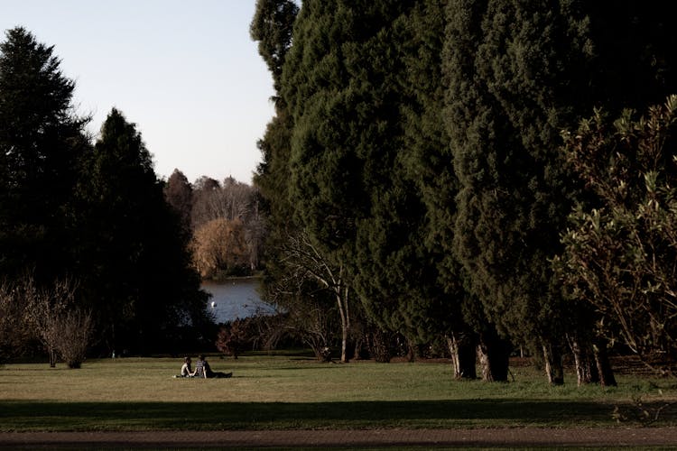 Couple Sitting On Green Grass In The Park