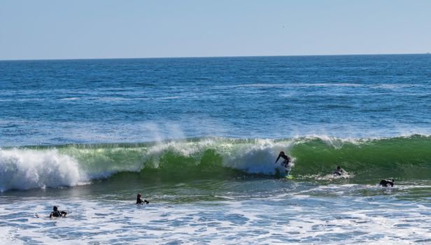 Adventure captured as surfers enjoy the waves on a sunny day at the beach.