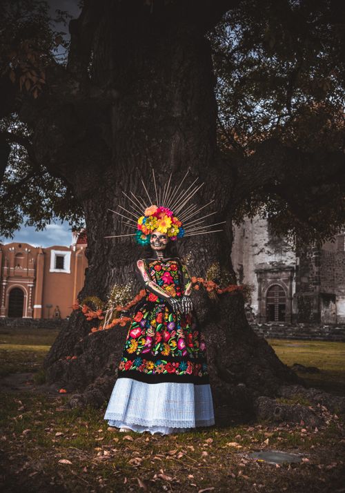 Free A vibrant Day of the Dead costume with floral headpiece in front of a historic tree in Puebla, Mexico. Stock Photo
