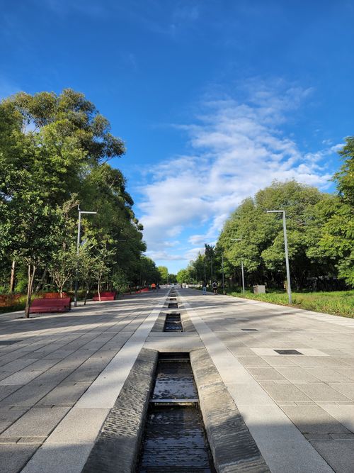 Free A serene public park walkway lined with lush green trees under a bright blue sky. Stock Photo