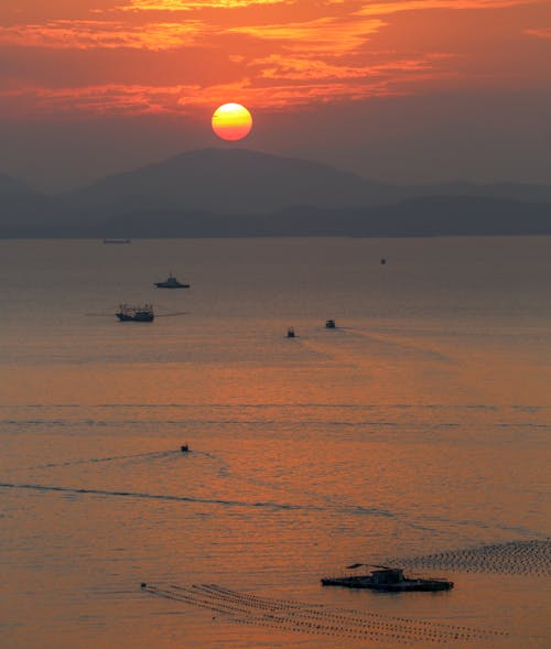 Silhouette of Boats Sailing on the Sea during Sunset