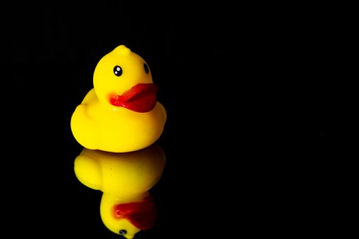 Bright yellow rubber duck toy reflected on a shiny black surface in a studio setting.