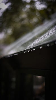 Close-up of raindrops on a roof in a dark, mysterious forest. Captures rainy atmosphere.