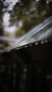 Close-up of raindrops on a roof in a dark, serene forest setting.