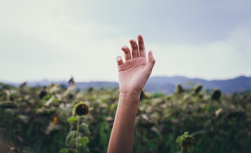 Free Selective Focus Photography of Right Human Hand Stock Photo