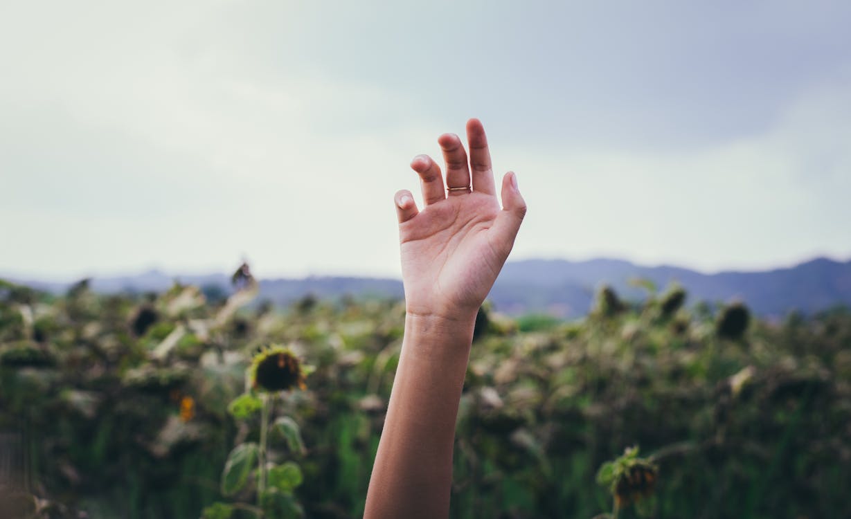 female hand