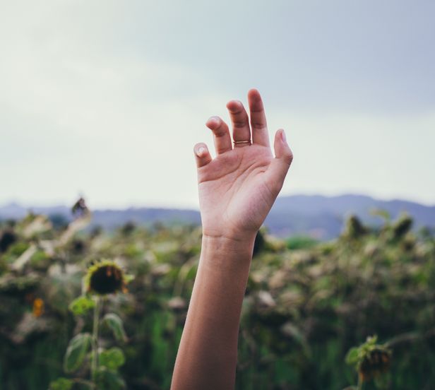 Hand Over Backdrop Hand Over Photos, Download The BEST Free Hand Over Stock Photos & HD Images