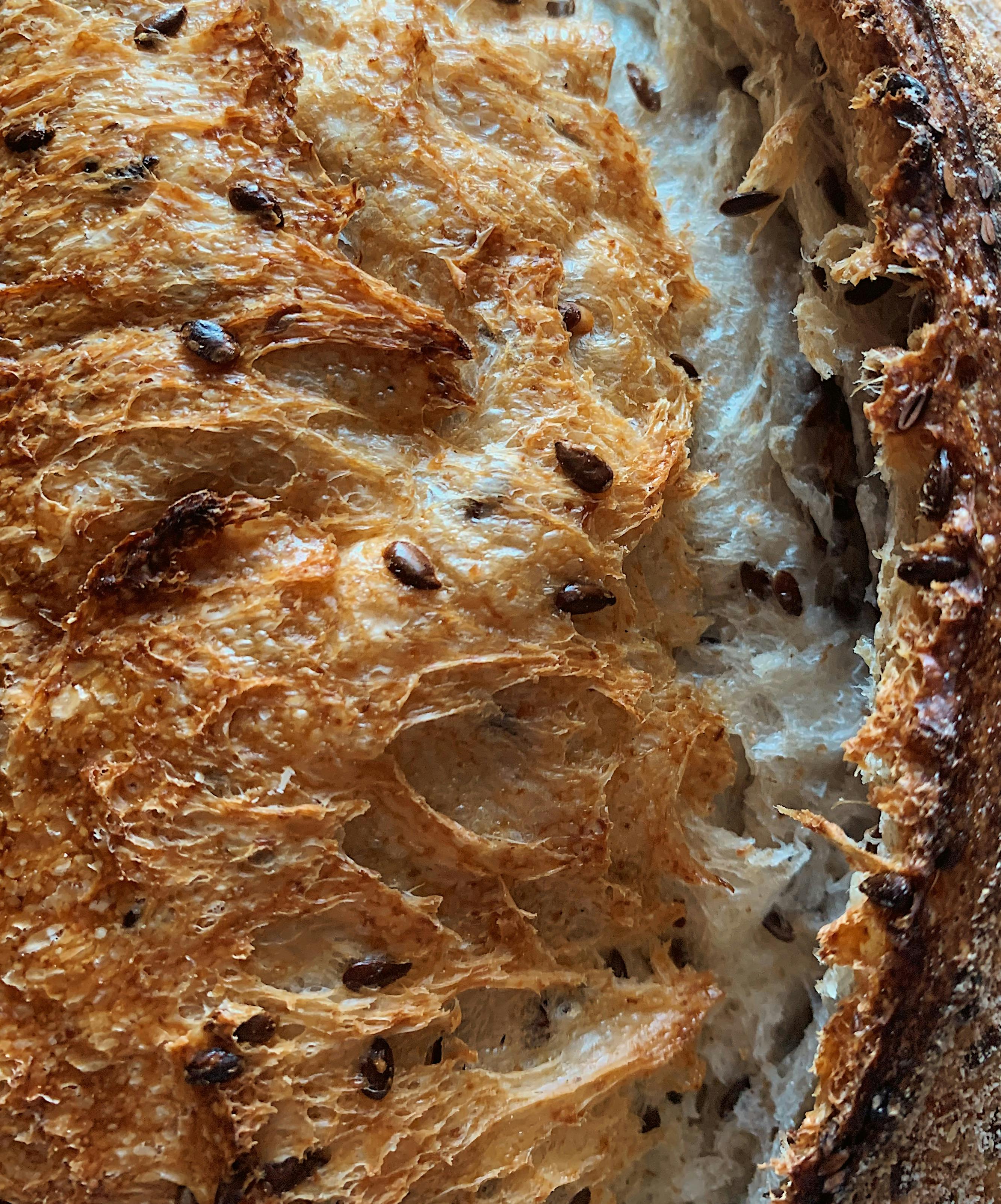 Freshly Baked Brown Bread · Free Stock Photo