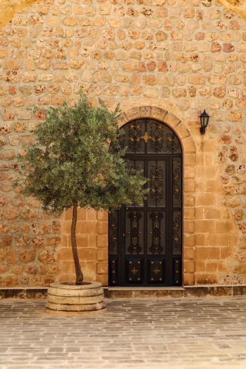 Free Beautiful arched door with stone facade and olive tree in Mardin, Türkiye. Stock Photo