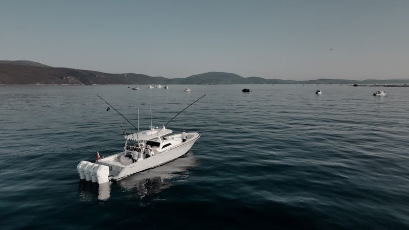Pesca de altura
