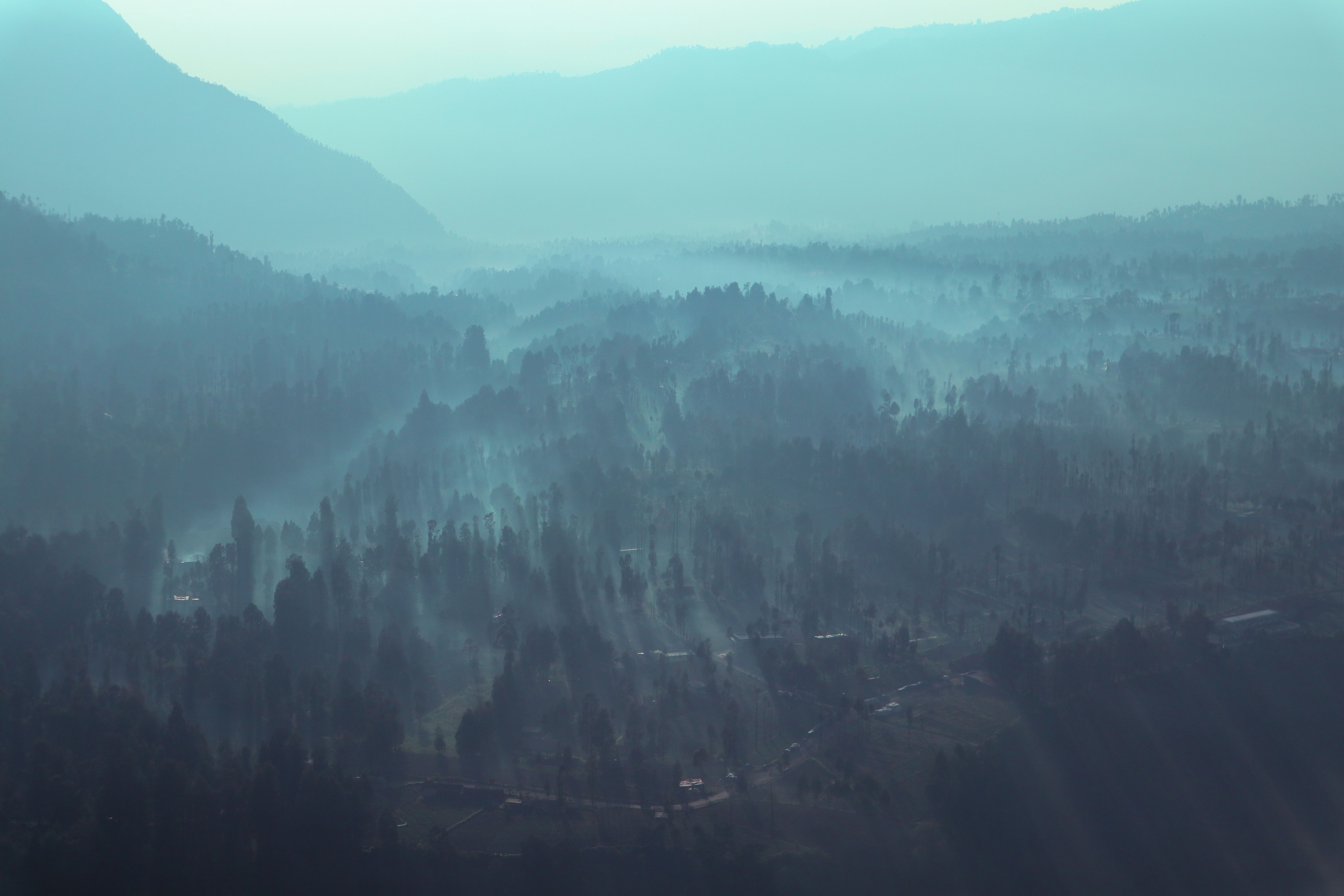 A Foggy Forest in Aerial View · Free Stock Photo