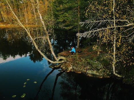 Aerial view of a person sitting by a tranquil forest lake in Norway during autumn.