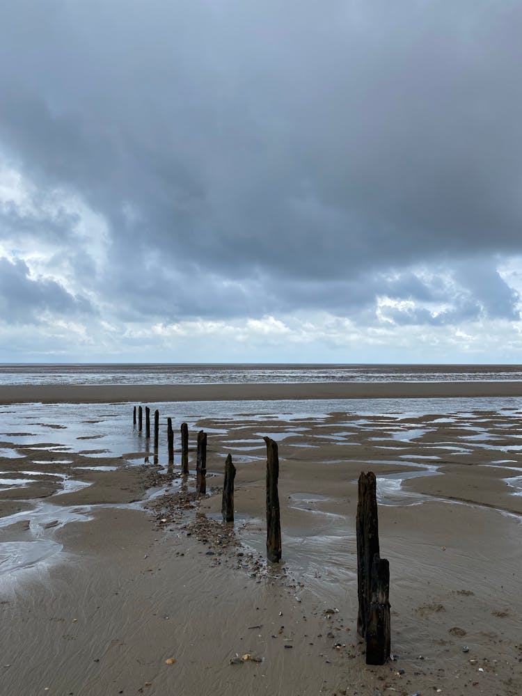 Wooden Posts On Seashore 