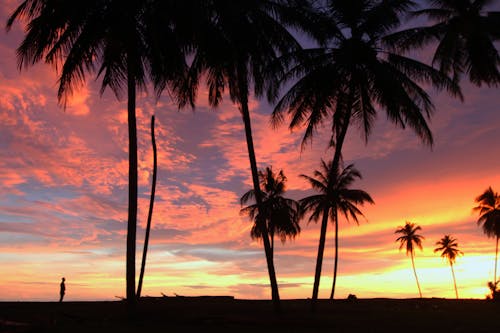 Free stock photo of sunset in meulaboh