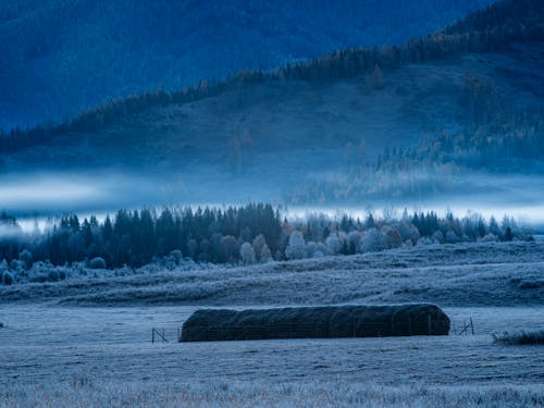 Darmowe zdjęcie z galerii z drzewa, formacja geologiczna, góra