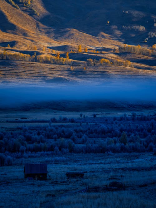 Foto profissional grátis de alvorecer, área, árvores