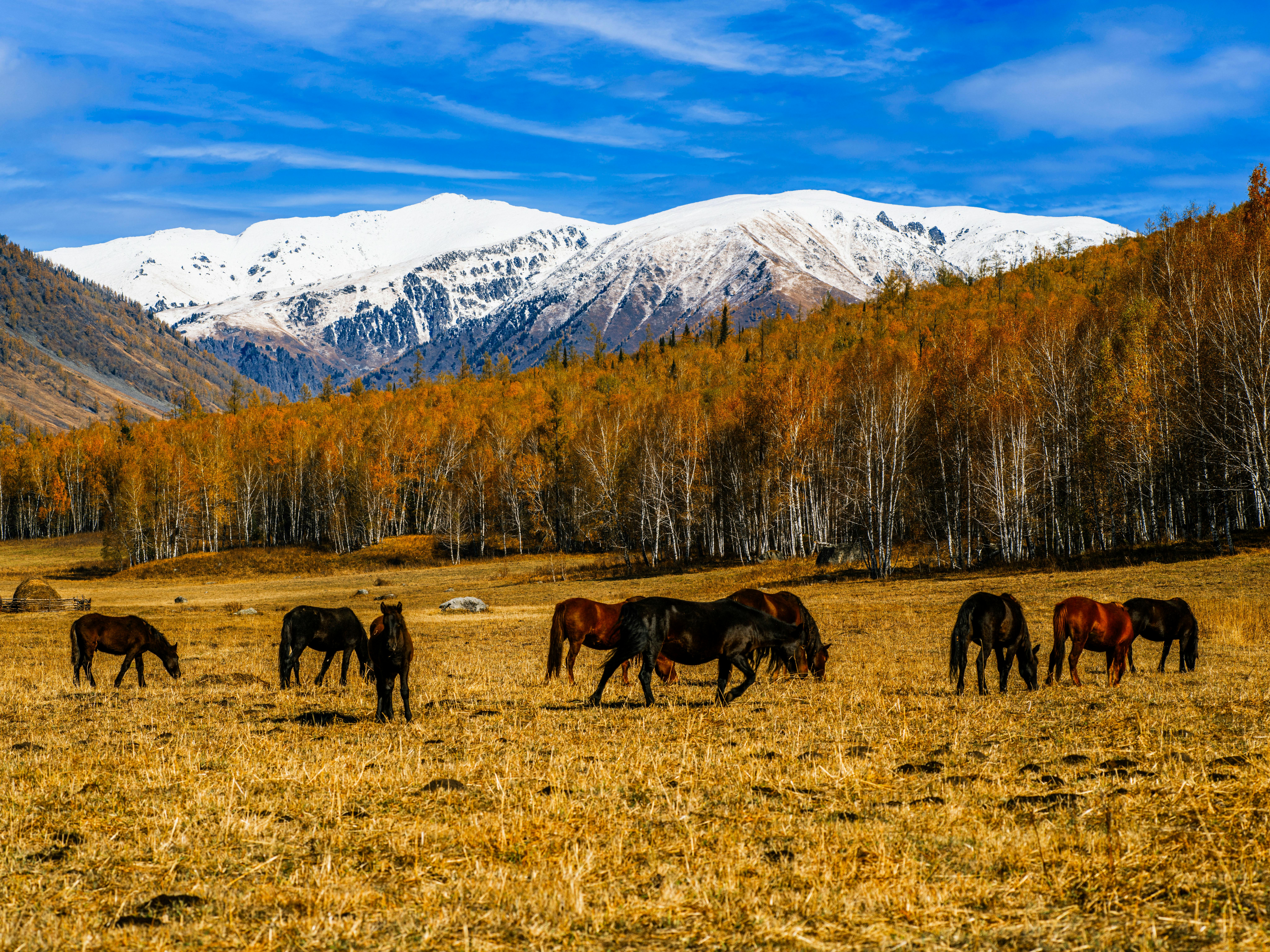 Can you go without eating for a week?