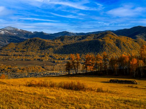 Free Scenic autumn mountain landscape featuring vibrant golden trees and a clear blue sky. Perfect for nature lovers. Stock Photo