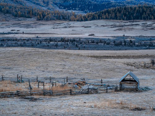 Wooden Barn on Grassland