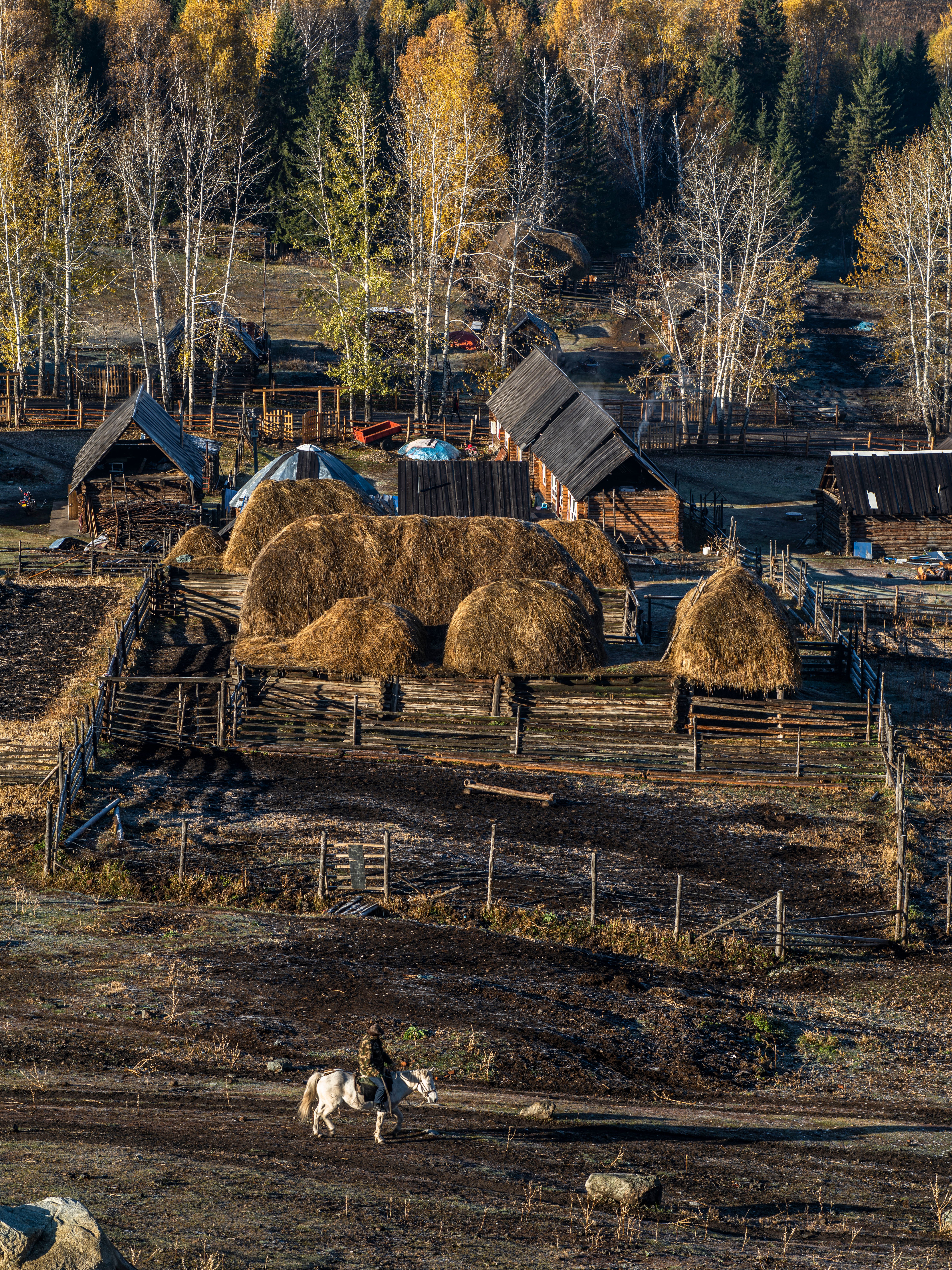 Aerial view of a rustic farm with hay bales surrounded by autumn foliage.