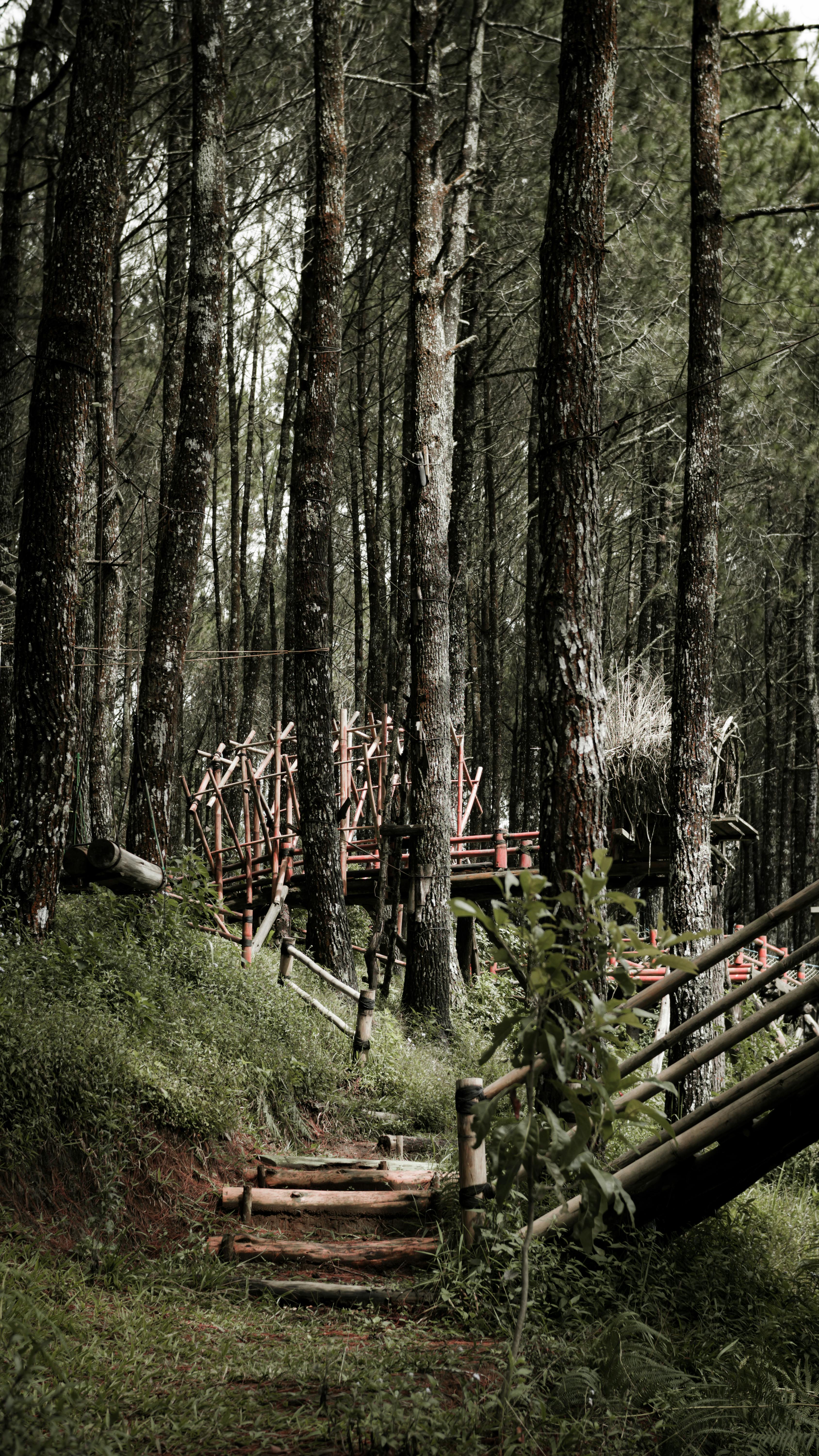 What are the 9 sites of pulse?