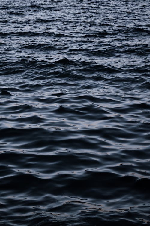 Close-Up Shot of Ripples on Water