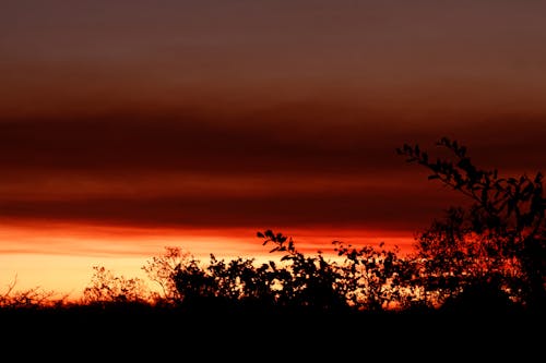 Foto profissional grátis de árvores, céu, céu bonito