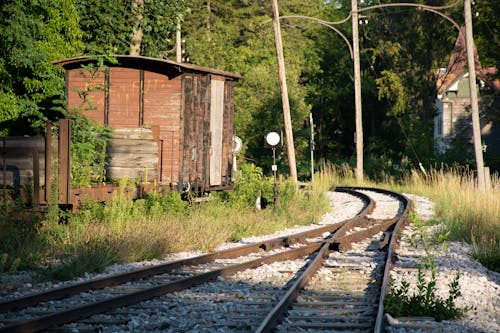 Railroad Track Near Green Trees