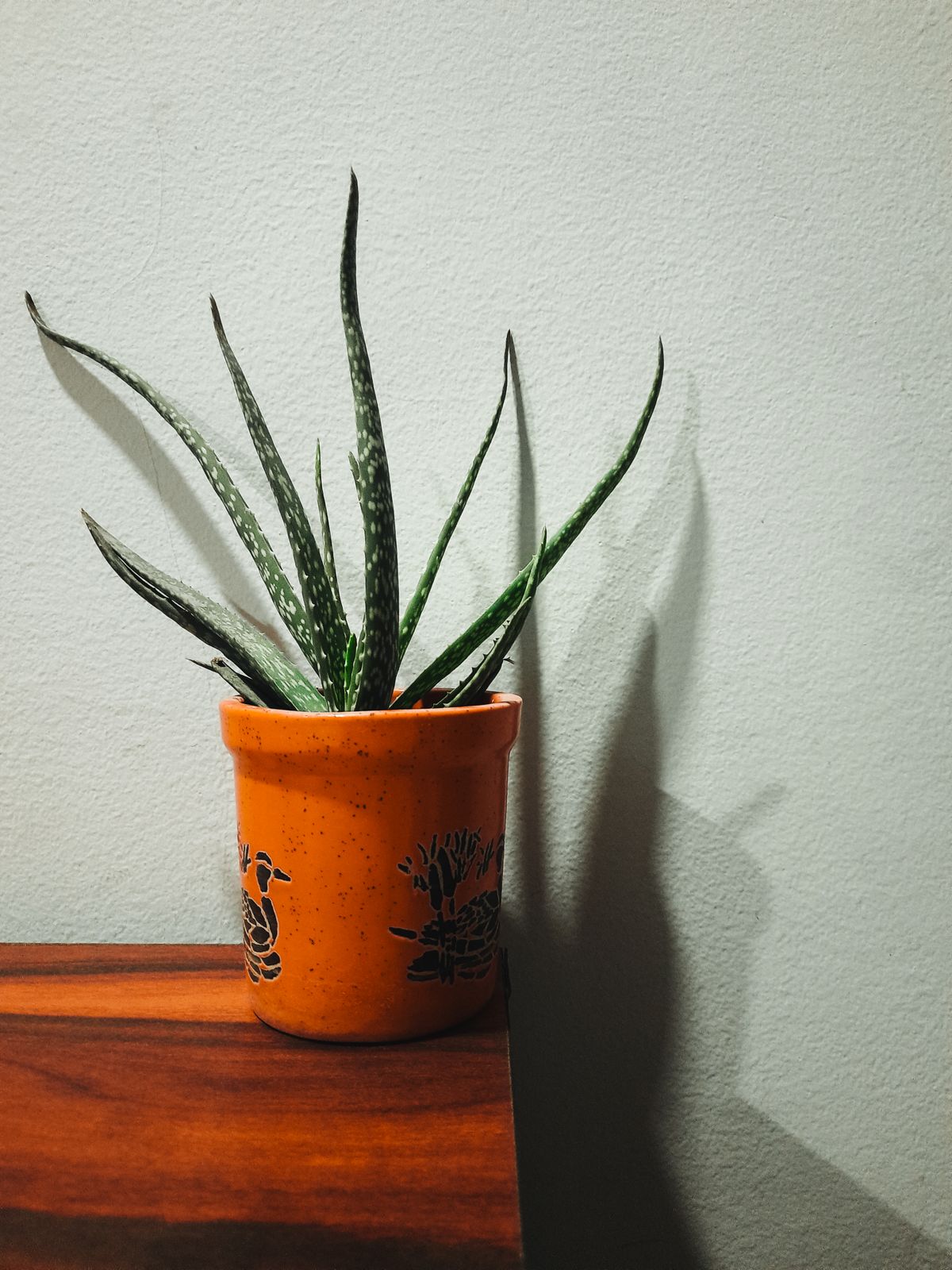 Musabbar Aloe Skin Gel alternate view
