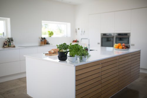 Free Green Leafed Plants On Kitchen Island Stock Photo