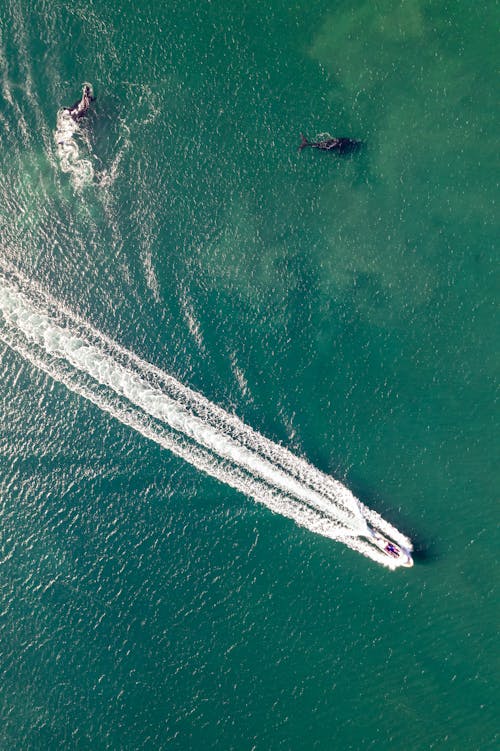 Imagine de stoc gratuită din apa deschisa, barcă cu motor, fotografie cu drona