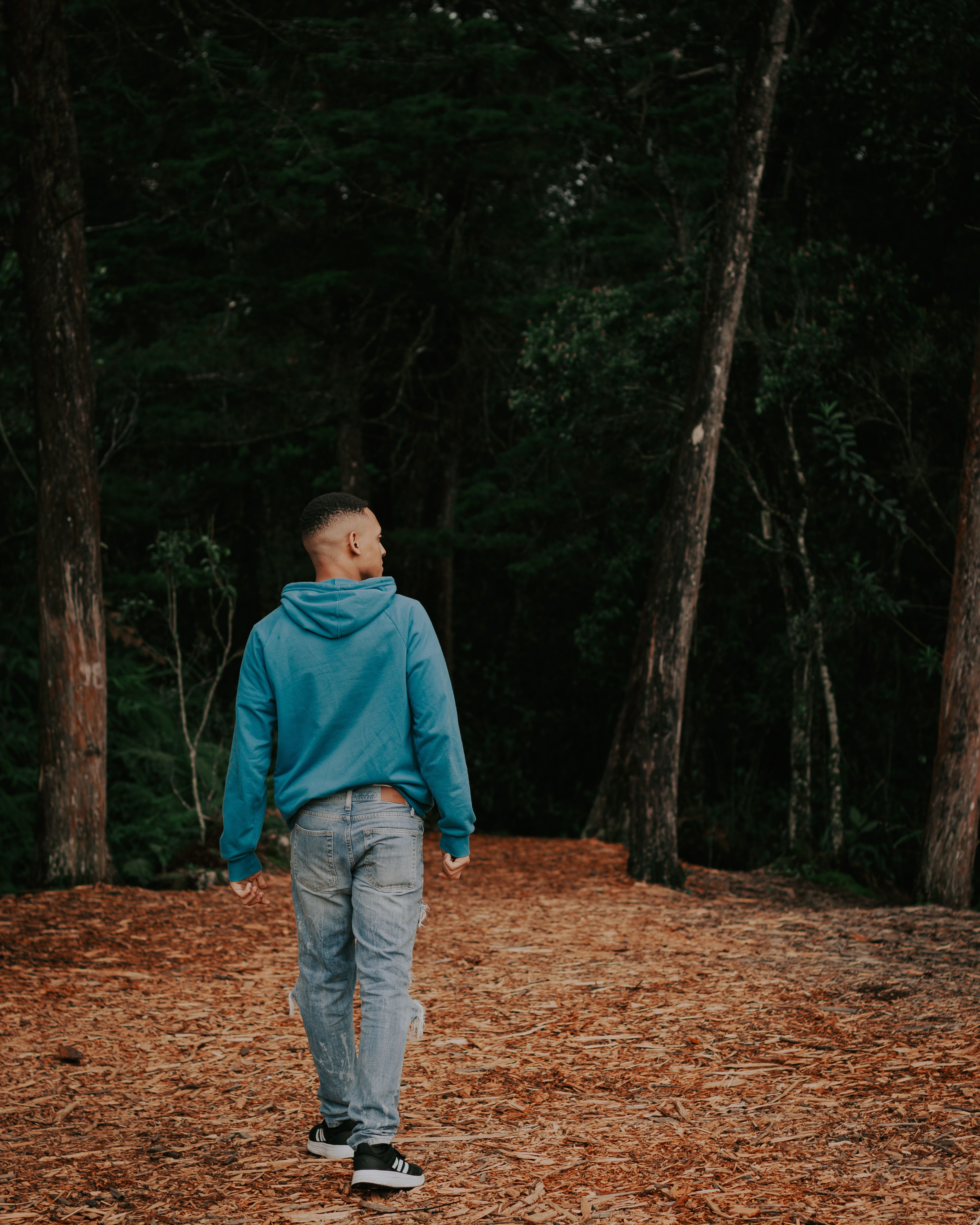 Man Standing on a Forest Path · Free Stock Photo
