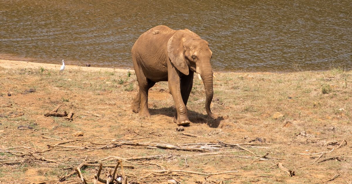 Mlilwane Wildlife Sanctuary