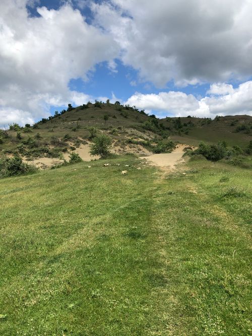 Free Wide view of a grassy meadow leading to rolling hills under a cloudy sky, perfect for nature enthusiasts. Stock Photo